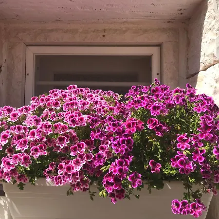 Dana Villa
