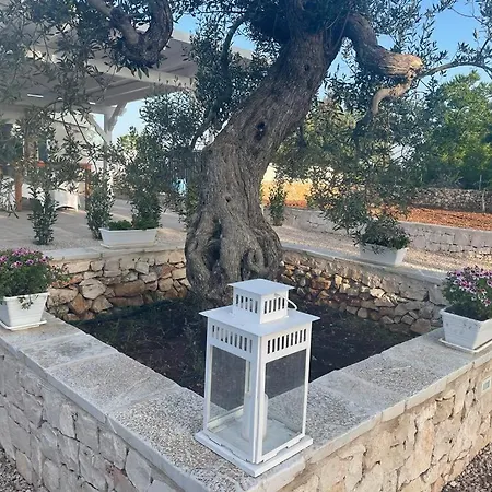 Dana Villa